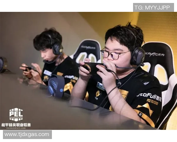 杨秀英分享和平精英总决赛心得解析战术与团队合作的成功秘诀