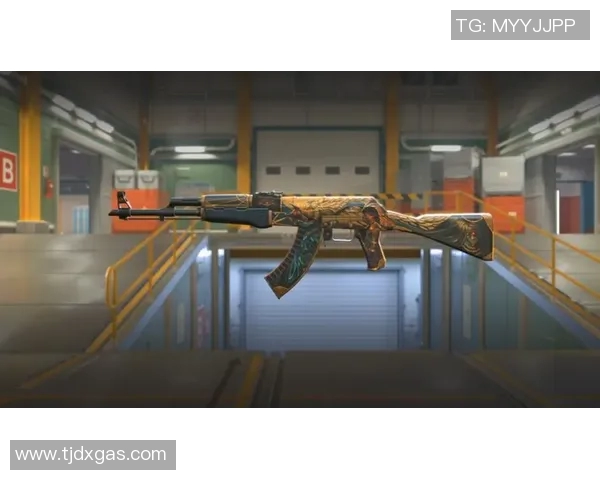 电竞数据赵丽亲自揭秘CSGO游戏技巧与心得分享助你提升竞技水平