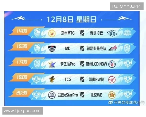 挑战者杯中V5战队实力表现分析与未来发展潜力探讨